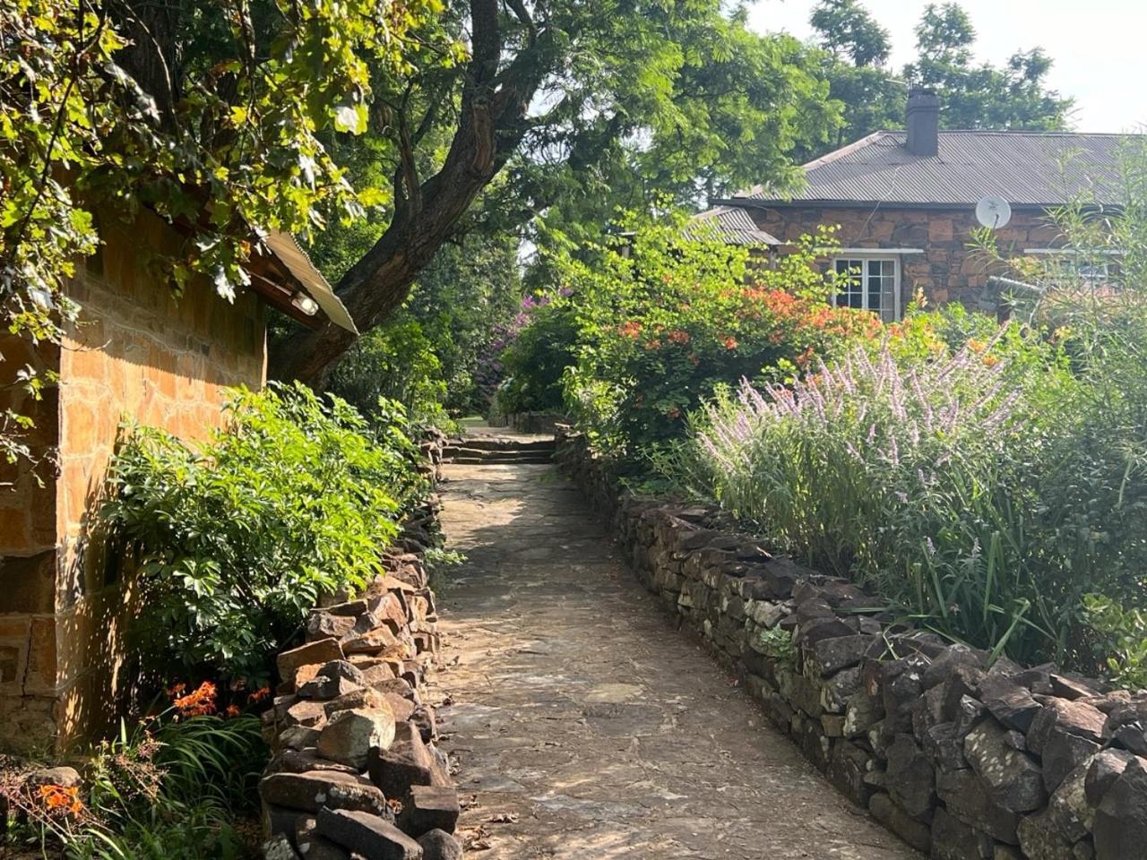 Вилла Wyford Farm Van Reenen Экстерьер фото