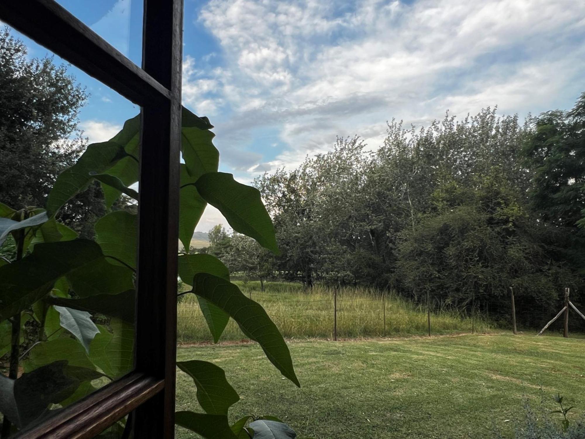 Вилла Wyford Farm Van Reenen Экстерьер фото